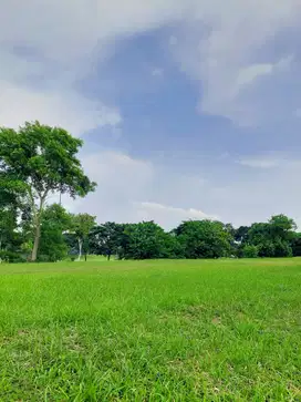 Termurah Tanah Long Golf Bukit Darmo Golf Bisa KPT