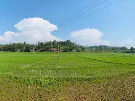 Tanah Sangat Luas Dekat Pusat Kota Cianjur Cocok Untuk Bisnis