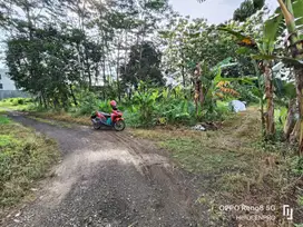 Tanah kosong untuk kos & hunian dekat kampus UMP, Depo Pelita Sokaraja