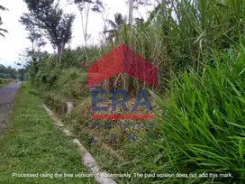 Dijual Tanah di Jalan Permanu, Pakisaji, Kabupaten Malang