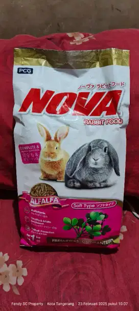 Makanan kelinci nova