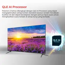 Polytron 55 inch Qled Google TV