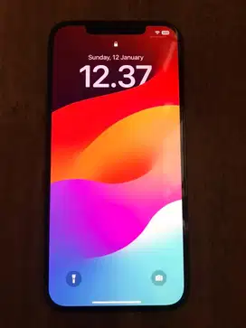 iPhone 12 Pro Max 128GB