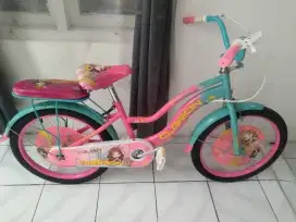 Sepeda anak ukuran L lecet pemakaian cat msh bagus