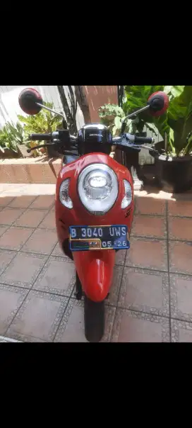 Scoopy Sporty 2021