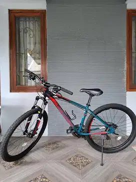 Sepeda MTB polygon