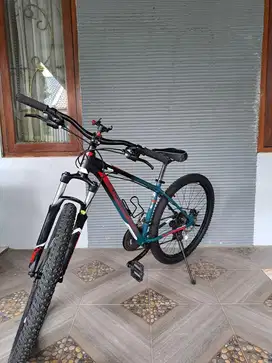 Sepeda MTB polygon