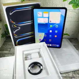 IPAD PRO M4 256 GB IBOX CEK UNIT BARU