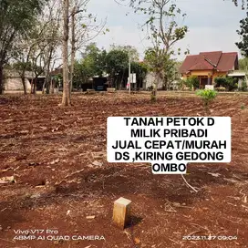 TANAH PEKARANGAN PETOK D MILIK PRIBADI