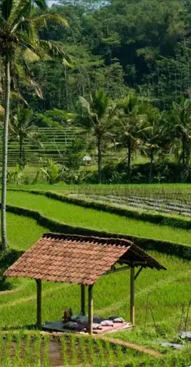 Di Jual Tanah Premium di Magelang jawa tengah indonesia