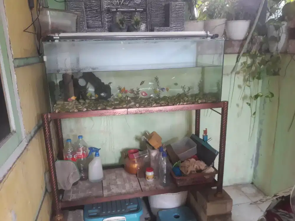 1 SET AQUARIUM KACA 100X40X40