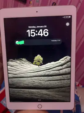 Ipad Gen 5 Wifi Only (32gb)