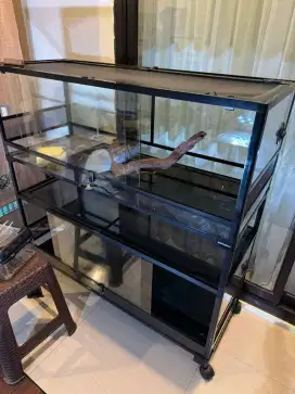 Glass Terrarium Animal and Co