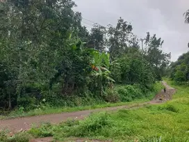 TANAH MURAH DEPAN JALAN UTAMA DAN TEPI PANTAI KEC.WARKUK RANAU SELATAN