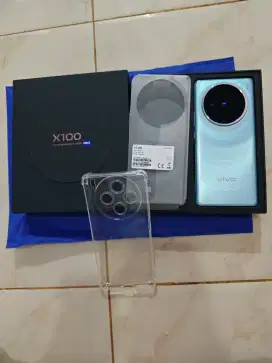 Vivo X100 12+12/256