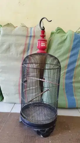 Sangkar Burung Ebod Siap Pakai