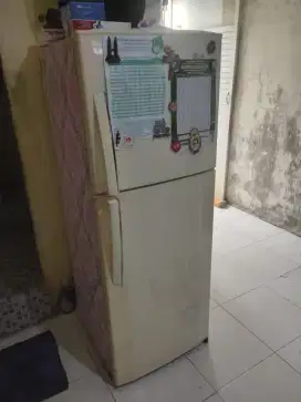 Kulkas LG 2pintu