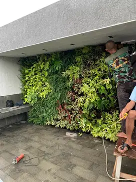 Taman Vertical Garden - Taman Dinding - tukang taman jakarta