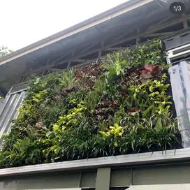 Promo Tukang Taman Vertical Garden