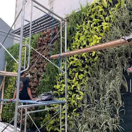 Tukang Taman Vertical Garden permeter