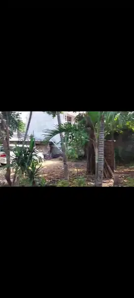 Dijual cepat rumah strategis dikebon jeruk
