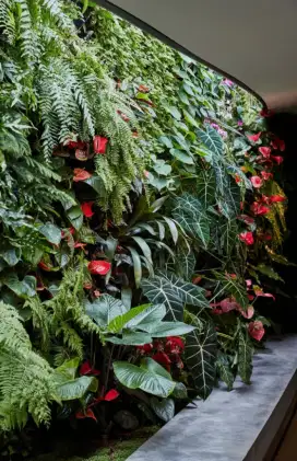 Vertical garden cocok untuk rumah dan kantor