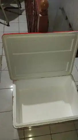 Ice box gabus bisar dan kecil