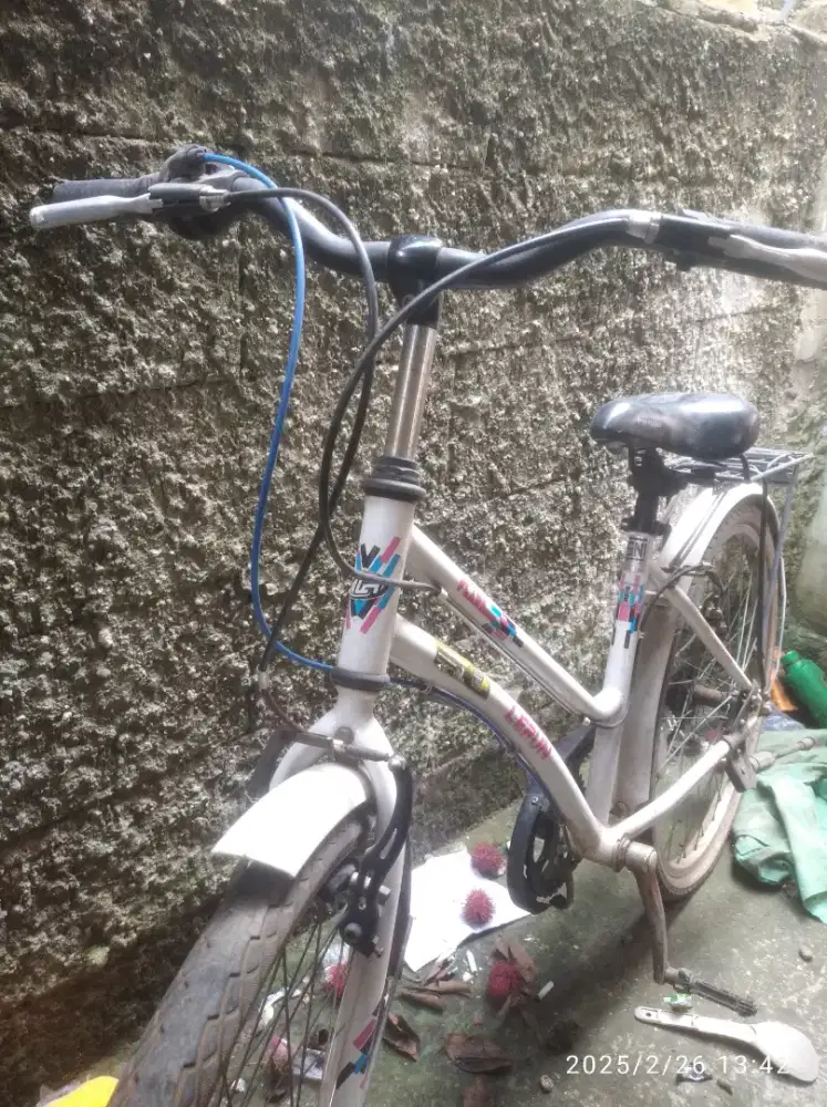 Sepeda Polygon lerun