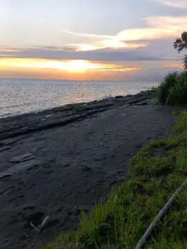 TANAH 62.5 ARE LOS PANTAI / BEACHFRONT JEMBRANA BALI