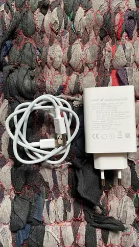 Charger Vivo V27e 66W Flash Charge USB Type C Original 100%