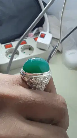 Bacan Doko Ijo Botol HQ Size Ideal