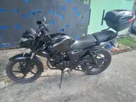 Jual Pulsar 135 murah meriah