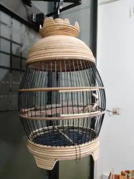 Sangkar Burung Perkutut Rajut Rotan Asli