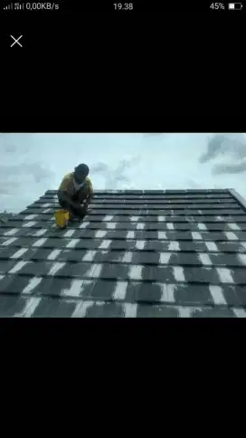 Menerima panggilan untuk perbaikan atap bocor dan renovasi rumah Dll