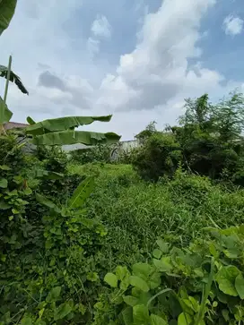 DIJUAL TANAH LUAS LOKASI STRATEGIS KLAMPIS SEMOLO BARAT SURABAYA
