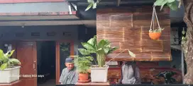 Krey tirai bambu wulung