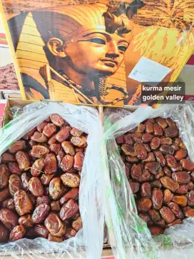 Kurma Golden Valley 10 kg, kurma mesir