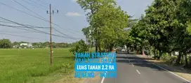 DIJUAL Tanah Prospektif LD 124 mtr, Jl Raya Propinsi Madiun-NGAWI