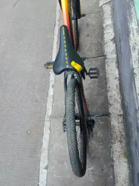 Sepeda Foster sudah cakram