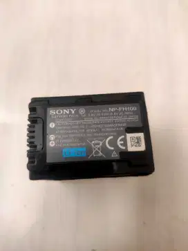 NP FH100 battery handycam sony