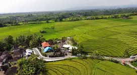 TANAH KABA KABA MUNGG BALI BAGUS BUAT KAVLING DENGAN VIEW SAWAH   DWT9