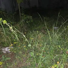Dijual cepat Rumah Hoek Janur Elok Santika Kelapa gading Jakarta Utara