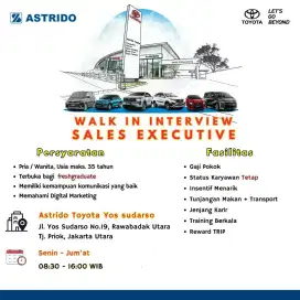 Sales Eksekutif Toyota