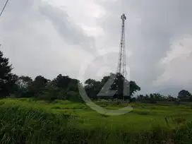 Dijual Tanah satu hamparan Cianjur