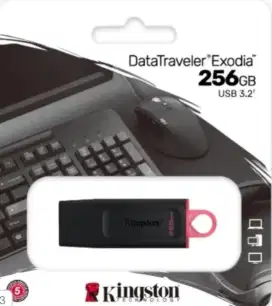 FLASDISK KINGSTON 256GB ORI EDS