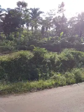 Dijual Tanah satu hamparan di leuwiliang kawalu tasikmalaya