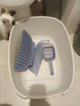Litterbox kucing super jumbo dan tinggi