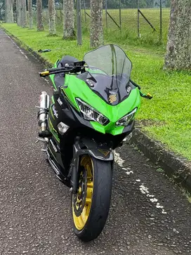 New Ninja 250 2019 KRT ABS