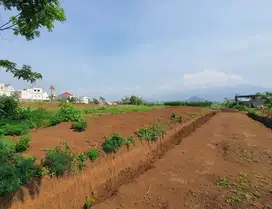 Tanah Residensial Dau Malang Dekat UIN Kedokteran Cocok Untuk Hunian