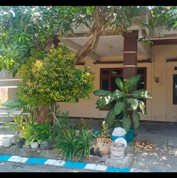 Dijual Rumah Murah 2 lantai Tengah Kota Sidoarjo